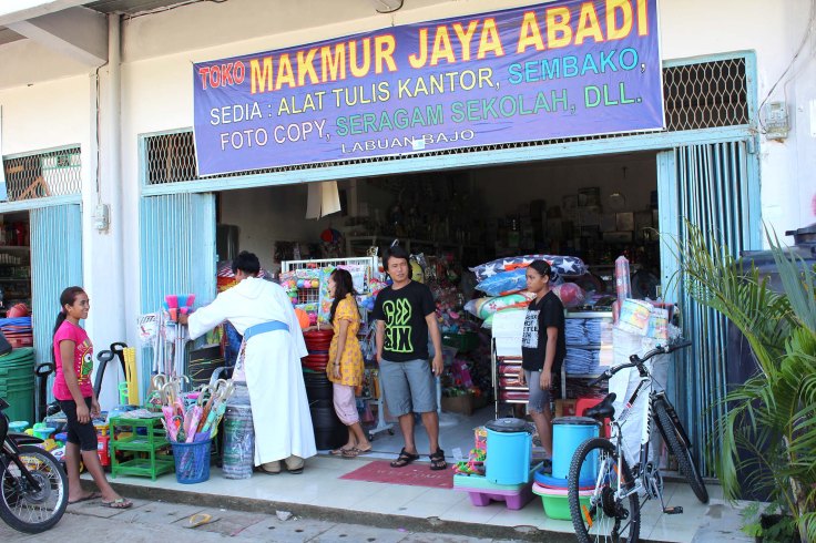 Brooms and mops (3 June 2013)