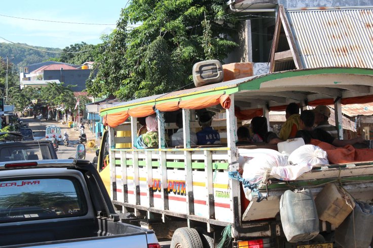 A popular form of transport (3 June 2013)