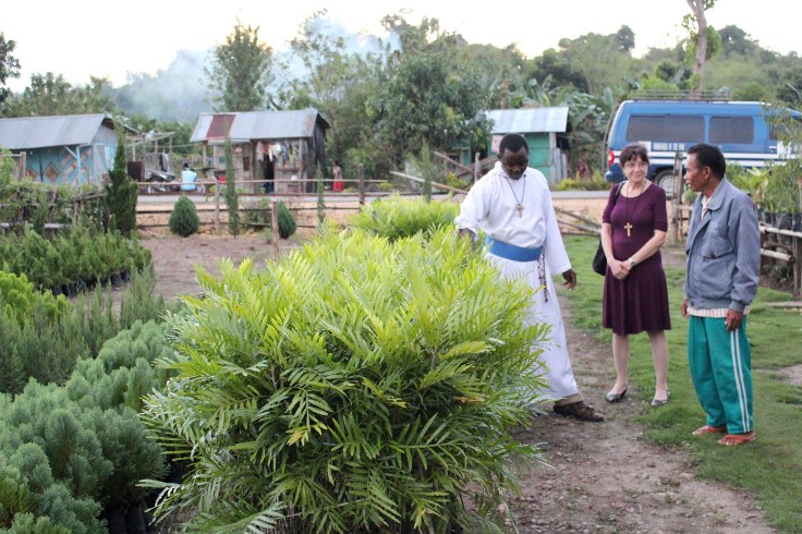 At the plant nursery (5 June 2013)