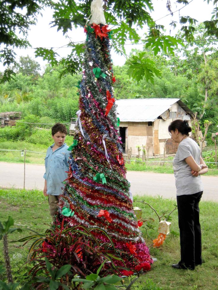 The completed Christmas tree (14 December 2012)