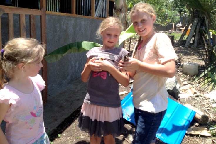 Leah, Anna and Claire catching the baby chicks