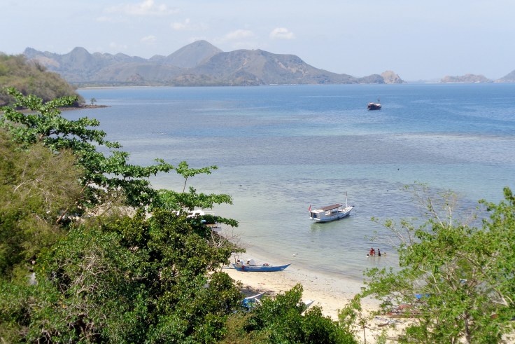 Looking out over the bay