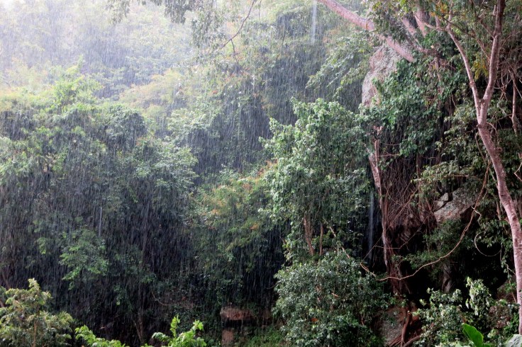As always in the wet season, lovely cooling monsoonal rains in the afternoons