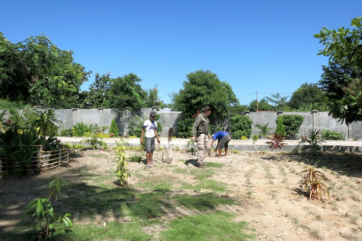 5. Working in the garden collecting stones