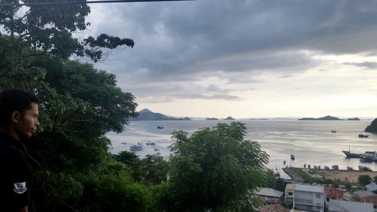 Looking south over the bay