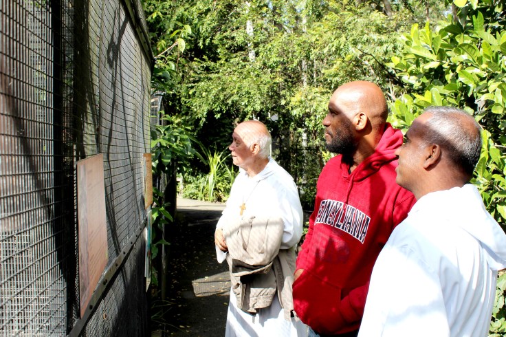 Some more unique birds