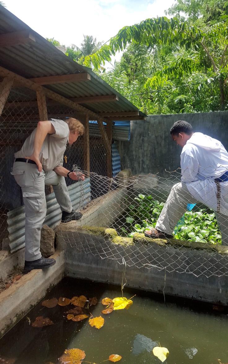 13. Even ponds for catfish