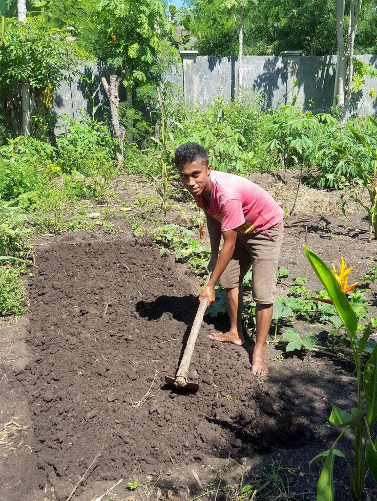 18. Planting vegetable seeds