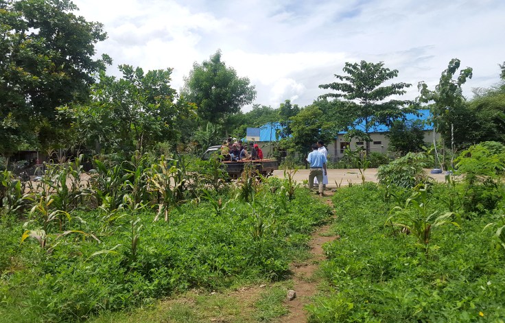 6. Peanuts, cassava, corn and cashew nut