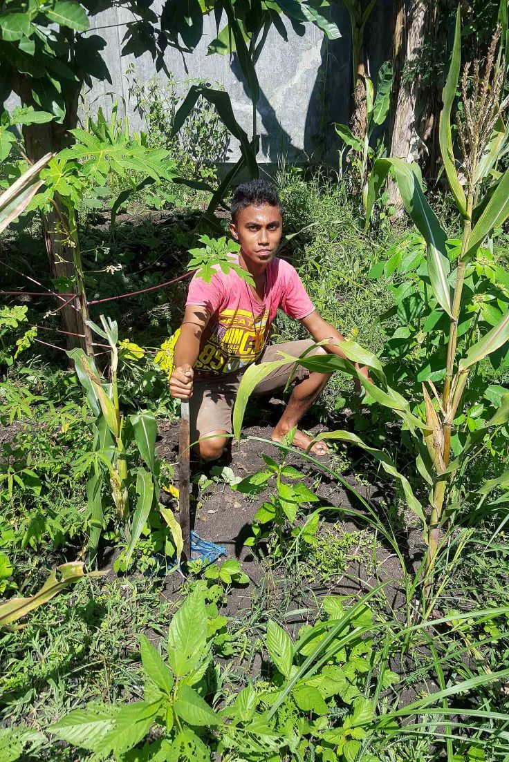 10. Sowing vegetables seeds