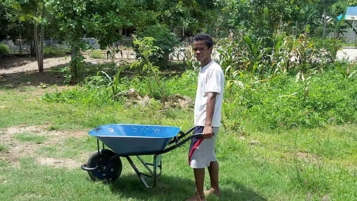 11. A new wheel barrow