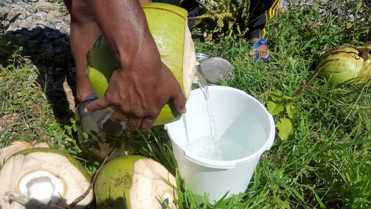 16. ... for fresh coconut water straight from the nut