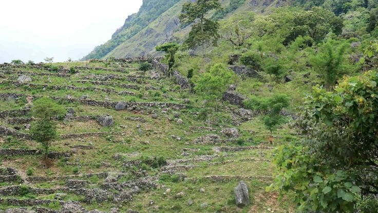 IMG_0765 adjusted 11