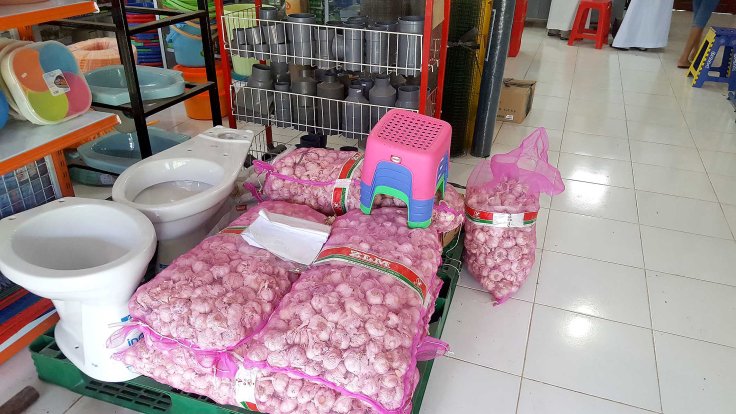 15. We then went to another hardware store and found garlic sold with toilets and plastic stools