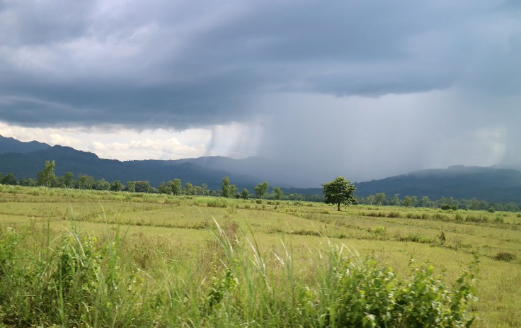 19-the-wet-season-has-commenced-in-the-mountains-tropical-storm-maliana