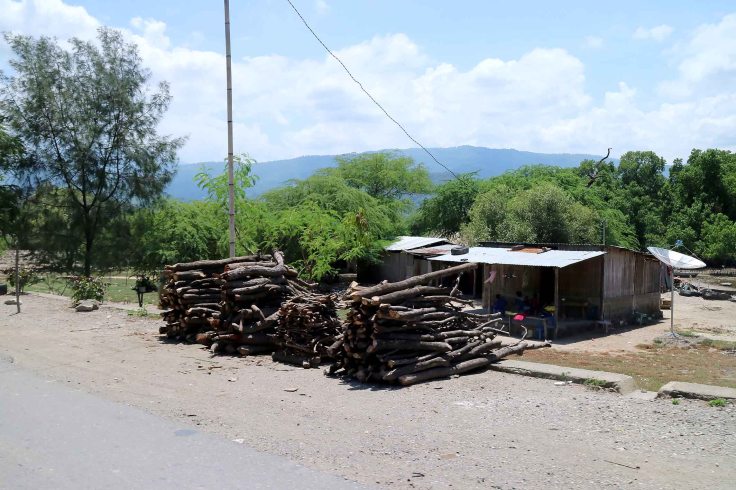 2-firewood-for-sale-is-common-just-outside-of-dili