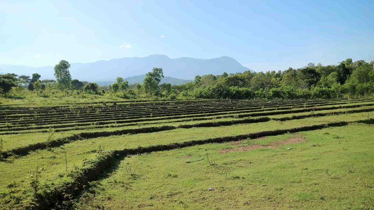 fallow-rice-fields-with-saburai-mountain-in-the-distance