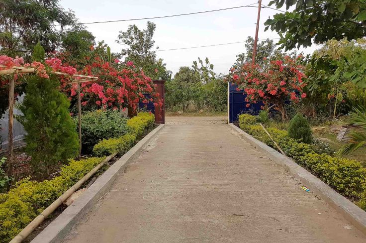 1-entrance-to-the-apostolate