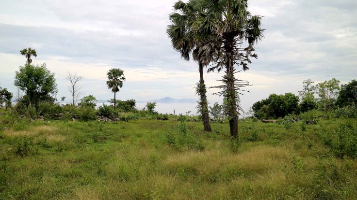 11-early-morning-on-the-way-up-to-saburai-the-valey-is-filled-with-mist