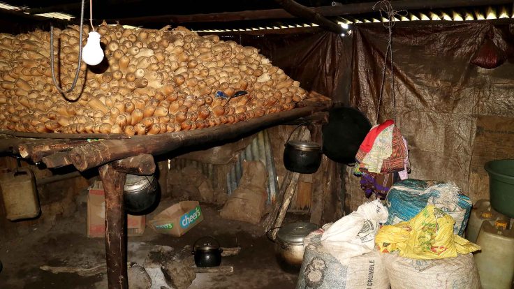 IMG_0687 No 18 The season's supply of maize