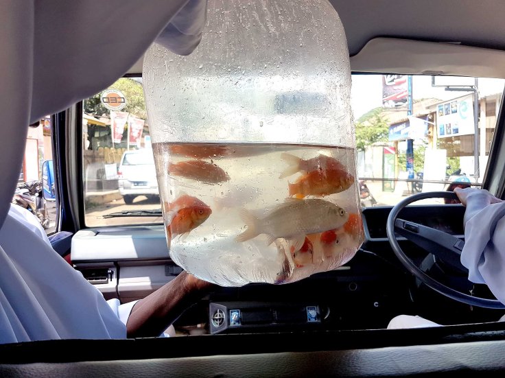 1_1_1_20170626_121213