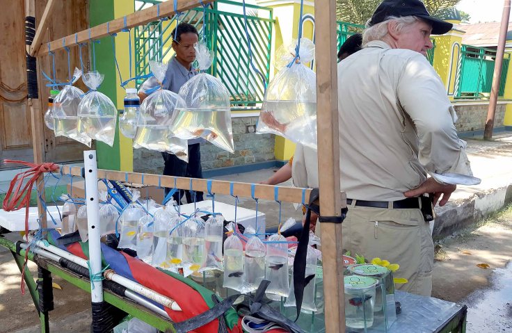 40_20170626_120028_001