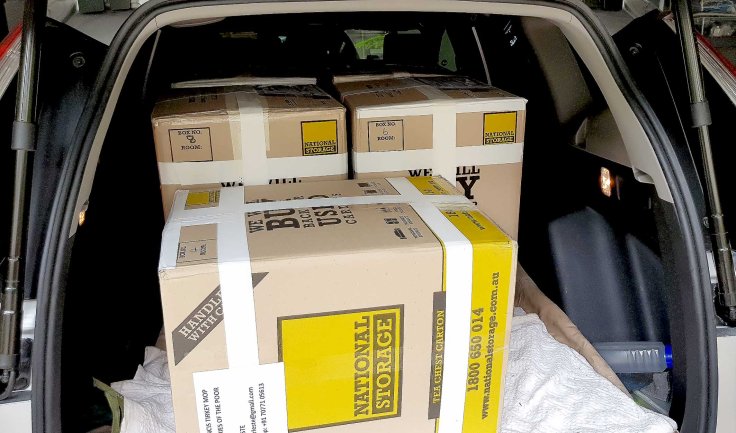 31_20190228_095344_adjusted